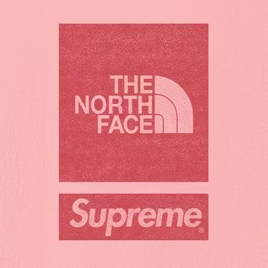 SUPREME スーパー + THE NORTH FACE ザ・ノースフェイス ロゴTシャツ 全5色 - 画像 3