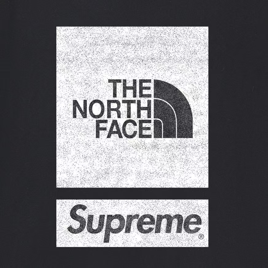 SUPREME スーパー + THE NORTH FACE ザ・ノースフェイス ロゴTシャツ 全5色 - 画像 4
