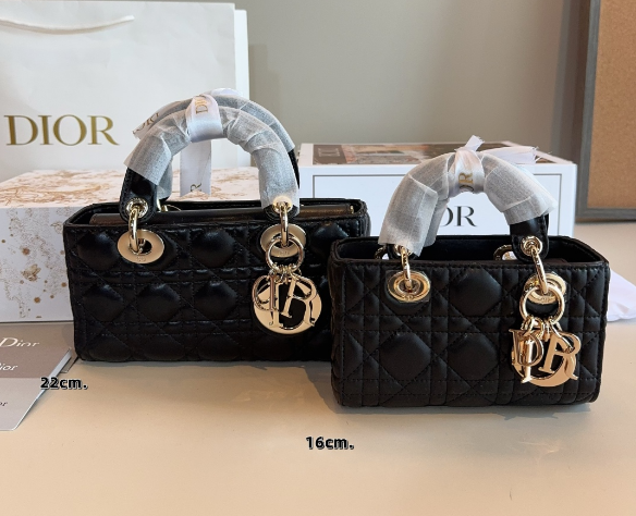 ディオール　レディ D-JOY　バッグ　レディース　Dior　レディDジョイ　ショルダーバッグ　ミニ/スモール　4色 - 画像 5