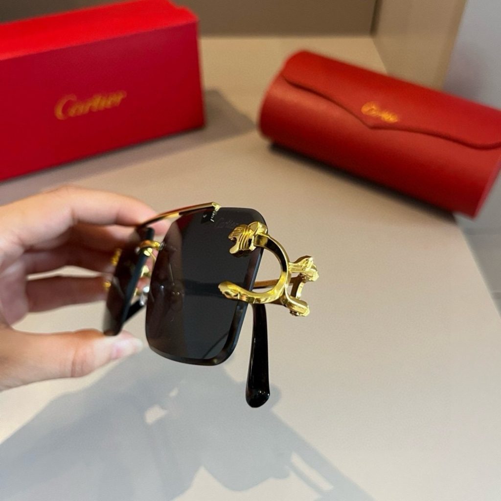 CARTIE カルティエ サングラス カテキア メンズ ブラック メタルフレーム ランナーズ デザイン 限定モデル - 画像 6