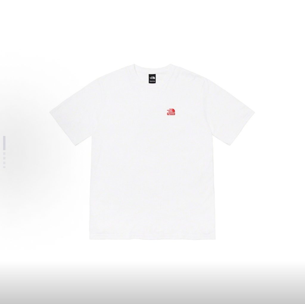 SUPREME シュプリーム THE NORTH FACE ザノースフェイス レギュラーフィットTシャツ フリーダム デザイン ブラック ホワイト 全2色 - 画像 2