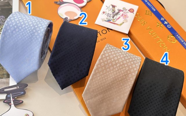 LOUIS VUITTONのその他は価格・収納・合わせ方でどう見るか