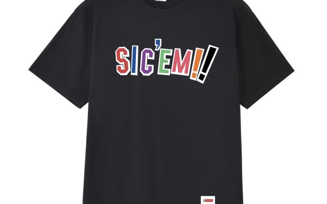 ユニセックスの節約買いに向くTシャツか写真でチェック