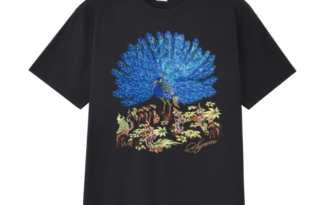 ブランドアイテムのTシャツは価格・収納・合わせ方でどう見るか