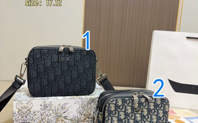 休日で使いやすいDiorのショルダーバッグを写真で確認