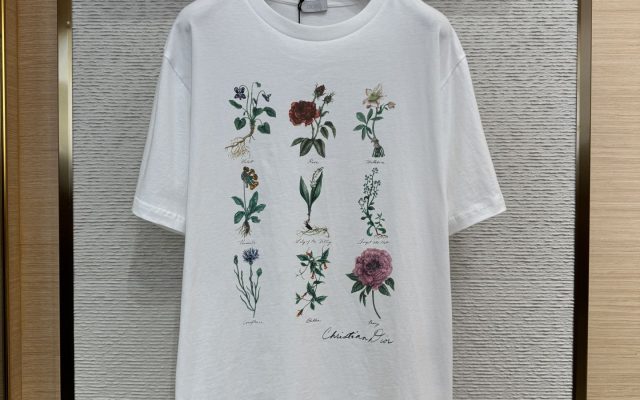 メンズの節約買いに向くTシャツか写真でチェック