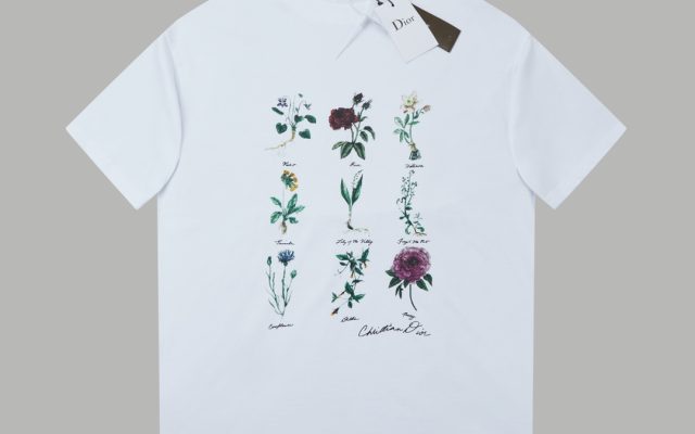 メンズ向けTシャツの選び方：写真とサイズ感
