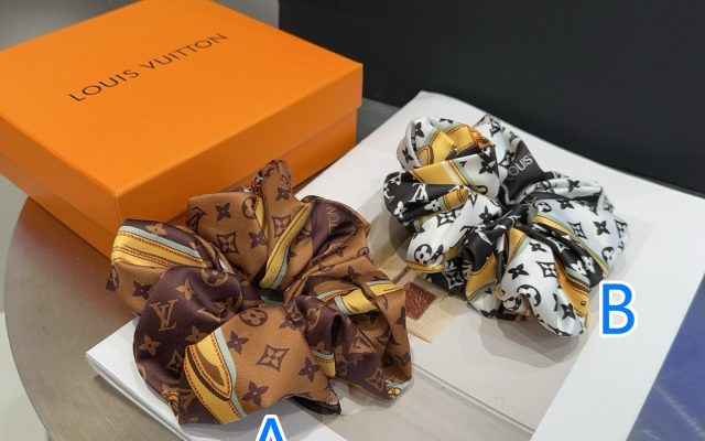 LOUIS VUITTONのその他は価格・収納・合わせ方でどう見るか
