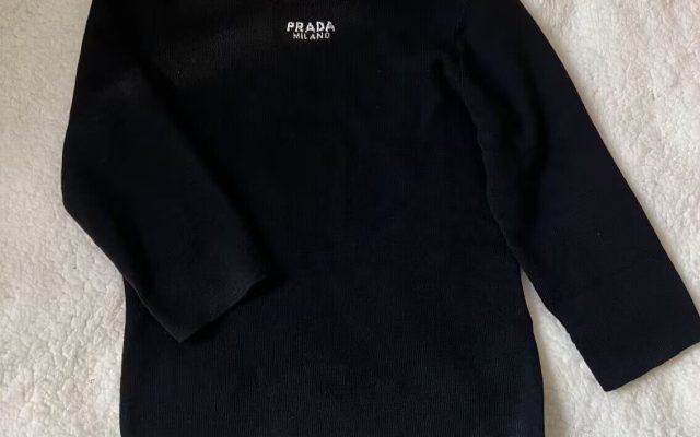食事会で使いやすいPradaのその他を写真で確認
