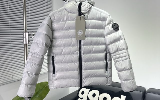 レディース向け服装の選び方：写真とサイズ感