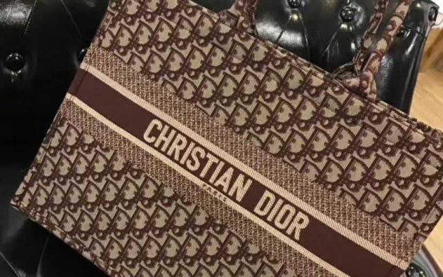 Diorのレディースバッグを予算内で探す前に見るキャンバスのポイント