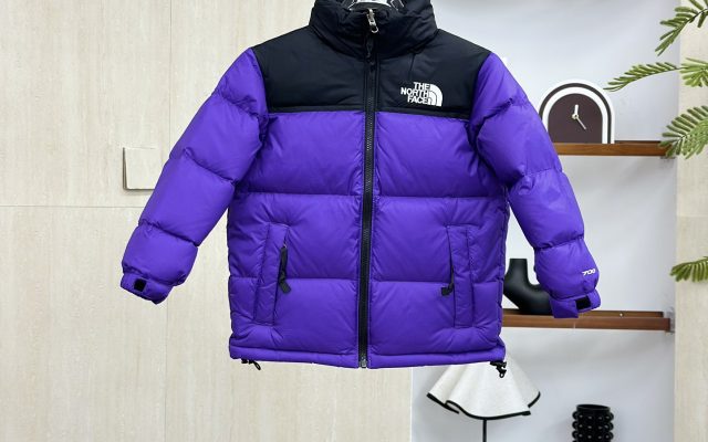 THE NORTH FACE 防寒 ダウンジャケット - 画像 1