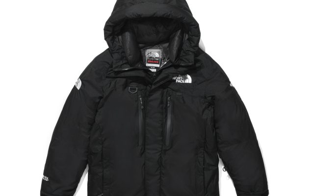 THE NORTH FACE ロング ダウンジャケット - 画像 1