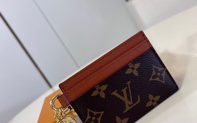 通勤で使いやすいLOUIS VUITTONの財布を写真で確認