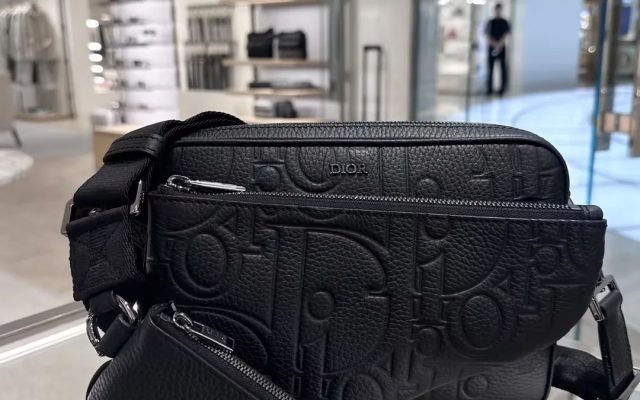 Diorのショルダーバッグは価格・収納・合わせ方でどう見るか