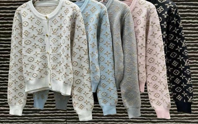 LOUIS VUITTONのその他は価格・収納・合わせ方でどう見るか