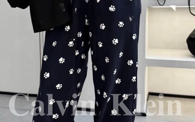 LOUIS VUITTONのその他は価格・収納・合わせ方でどう見るか