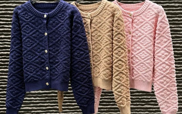 LOUIS VUITTONのその他は価格・収納・合わせ方でどう見るか