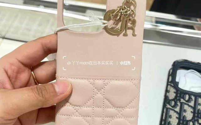 物価高でも選びやすいその他：Diorを自然に取り入れる