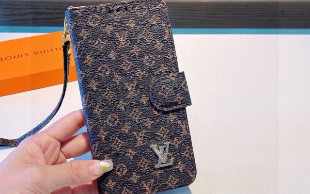 LOUIS VUITTONのその他は価格・収納・合わせ方でどう見るか