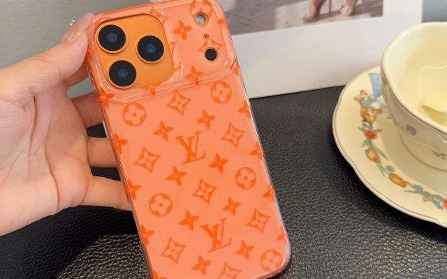 LOUIS VUITTONのその他を予算内で探す前に見る写真のポイント