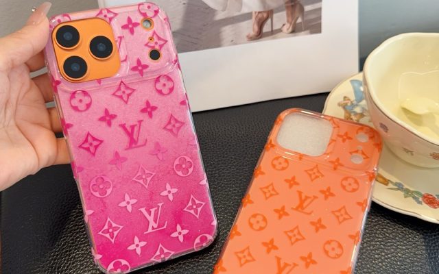 LOUIS VUITTONのその他は価格・収納・合わせ方でどう見るか