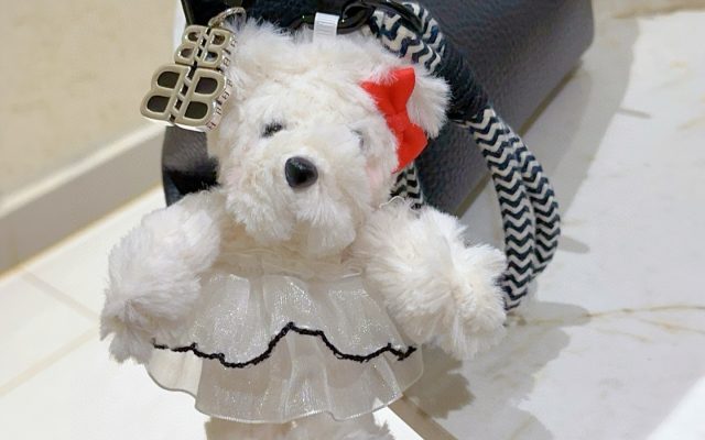 ブランドアイテムのその他を予算内で探す前に見るロゴのポイント