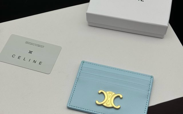 通勤で使いやすいCELINEのカードケースを写真で確認
