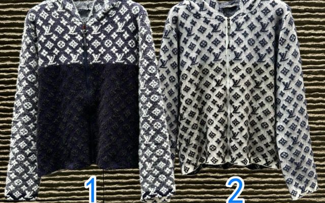 LOUIS VUITTONのジャケットを予算内で探す前に見るミニのポイント