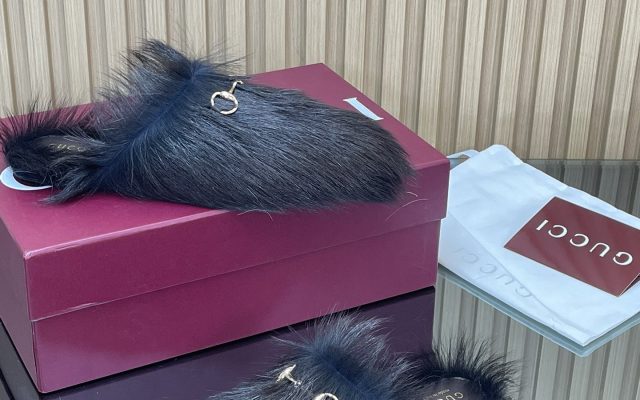 物価高でも選びやすいその他：Gucciを自然に取り入れる