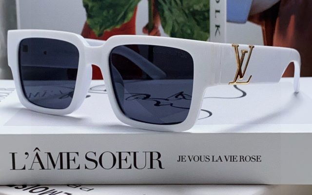 LOUIS VUITTONのその他は価格・収納・合わせ方でどう見るか