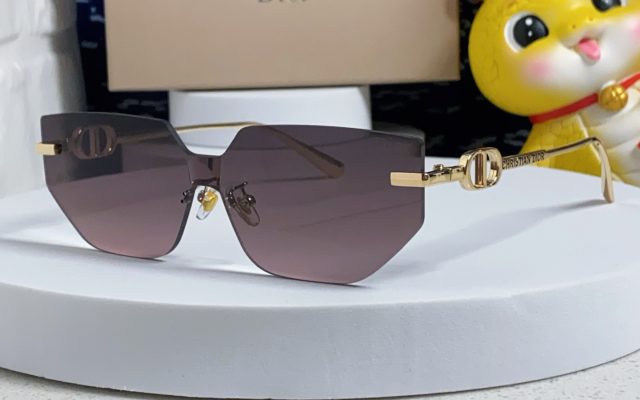 Diorのその他は価格・収納・合わせ方でどう見るか