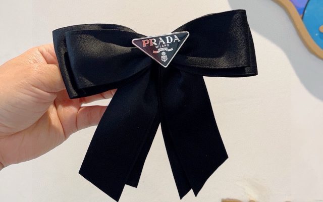 Pradaのその他は価格・収納・合わせ方でどう見るか